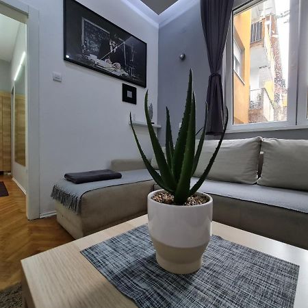Nikola Tesla City Walk Apartment Ni Екстериор снимка
